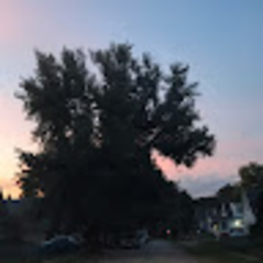 Meet your Posher, Hailey